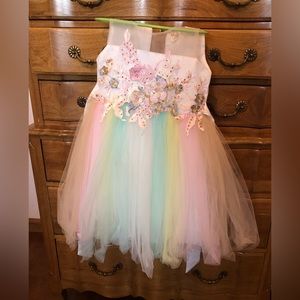 Beautiful little girls beaded floral embroidery tulle dress.